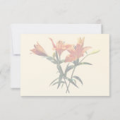 Cartons Réponse Groupe de lys orange (Dos)