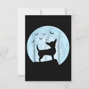Cartons Réponse Halloween Chihuahua Chien cadeau ou traitement