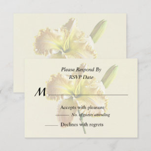 Cartons Réponse Hémérocalle jaune