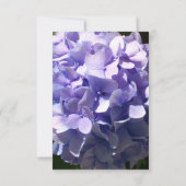 Cartons Réponse Hydrangea Purple fleur violette pourpre floral (Dos)