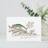 Cartons Réponse Illustration de Green Cape Dwarf Chameleon (Debout devant)