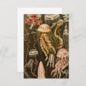 Cartons Réponse Illustration de poisson d'antiquité de la méduse v (Devant / Derrière)