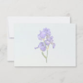 Cartons Réponse Iris triple pourpre (Dos)