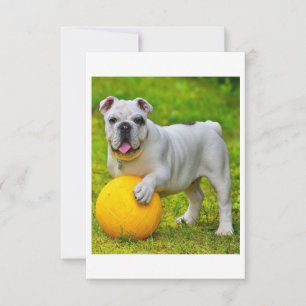 Cartons Réponse Joli cadeau de Bulldog Basketball Bulldog Lover an