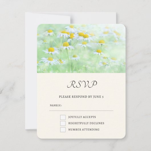 Cartons Réponse Jolies marguerites dans une photo de terrain (Devant)