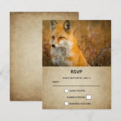 Cartons Réponse Jote Red Fox Wilderness Nature Photo (Devant / Derrière)
