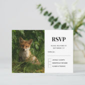 Cartons Réponse Le chou renard dans une forêt verte (Debout devant)