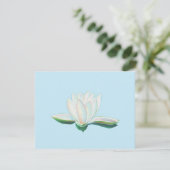 Cartons Réponse Lumineuse de lotus blanc (Debout devant)