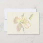 Cartons Réponse Lys jour jaune (Dos)