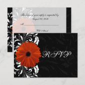 Cartons Réponse Marguerite Gerbera orange avec défilement noir et (Devant / Derrière)