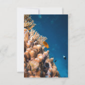 Cartons Réponse Mariage côtier des récifs de poissons sous-marins (Dos)