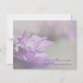 Cartons Réponse Mariage de fleurs de lavande violette | Personnali (Dos)