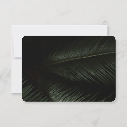 Cartons Réponse Moody Tropics Code QR Mariage (Dos)
