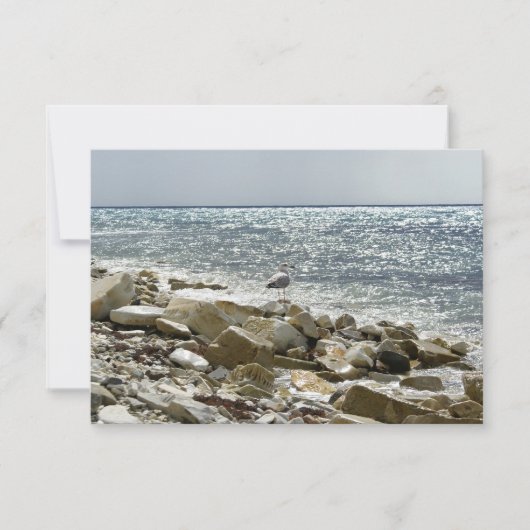 Cartons Réponse Mouette et mer (Devant)