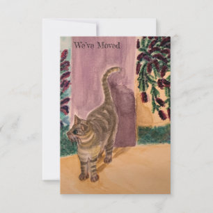 Cartons Réponse Nous avons déplacé un chat