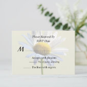 Cartons Réponse Ombre et Lumière de Marguerite (Debout devant)