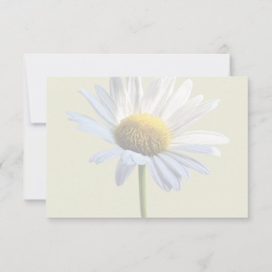 Cartons Réponse Ombre et lumière margueuse (Dos)