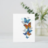Cartons Réponse Papillons volants Morpho et Monarch (Debout devant)