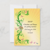 Cartons Réponse Parchemins et Papillons (Devant)