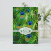 Cartons Réponse Peacock feather (Debout devant)