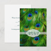 Cartons Réponse Peacock feather (Devant / Derrière)