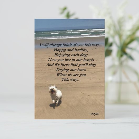 Cartons Réponse Pet Tribute (Debout devant)