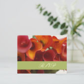 Cartons Réponse PixDezines brûlé calle orange lily (Debout devant)