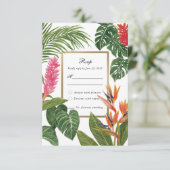 Cartons Réponse Rêve Tropical (Debout devant)