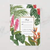 Cartons Réponse Rêve Tropical (Devant / Derrière)