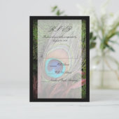 Cartons Réponse Rich Peacock Feed avec mousse verte (Debout devant)