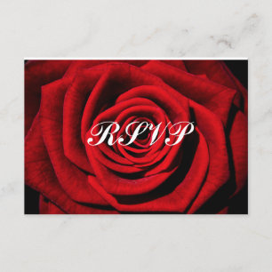 Cartons Réponse Rose Arrière - plan Fleur Mariage/Sweet sixteen RS