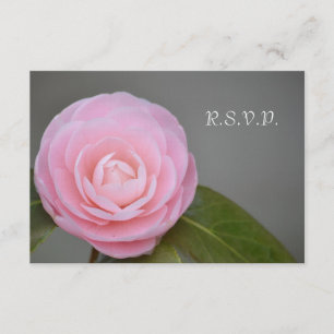 Cartons Réponse Rose rose rose printemps