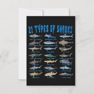 Cartons Réponse Shark Lovers 21 Types of Sharks Ocean Animal
