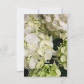 Cartons Réponse Suite Mariage blanc vert Hydrangea (Dos)