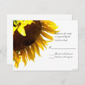 Cartons Réponse tournesol iii (Devant / Derrière)