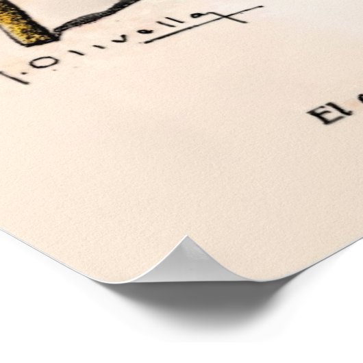 Cartoon Argentijnse crisis 1914 Poster (Hoek)