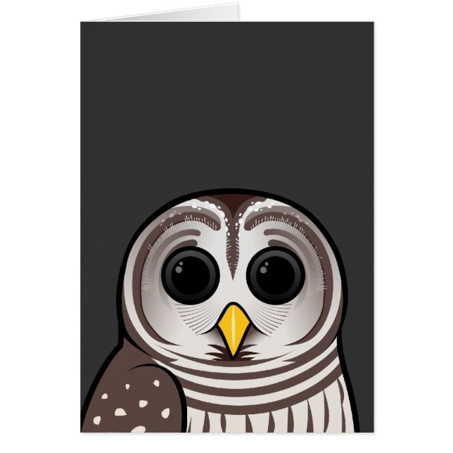 Cartoon Barred Owl (Voorkant)