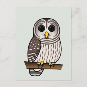 Cartoon Barred Owl Briefkaart