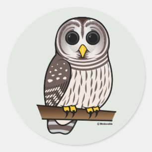 Cartoon Barred Owl Ronde Sticker