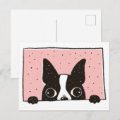 Cartoon Boston Terrier à la carte postale Windows (Devant / Derrière)