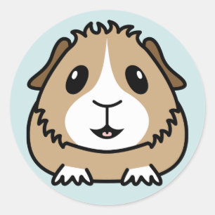 Cartoon cavia Stickers