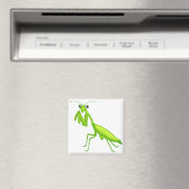 Cartoon Green Praying Mantis magneten (Insitu (Vaatwasser))