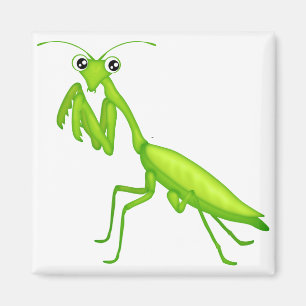 Cartoon Green Praying Mantis magneten