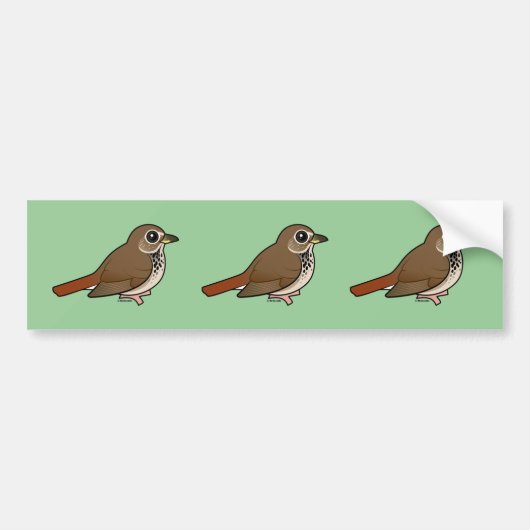 Cartoon Hermitlijster Bumpersticker (Voorkant)