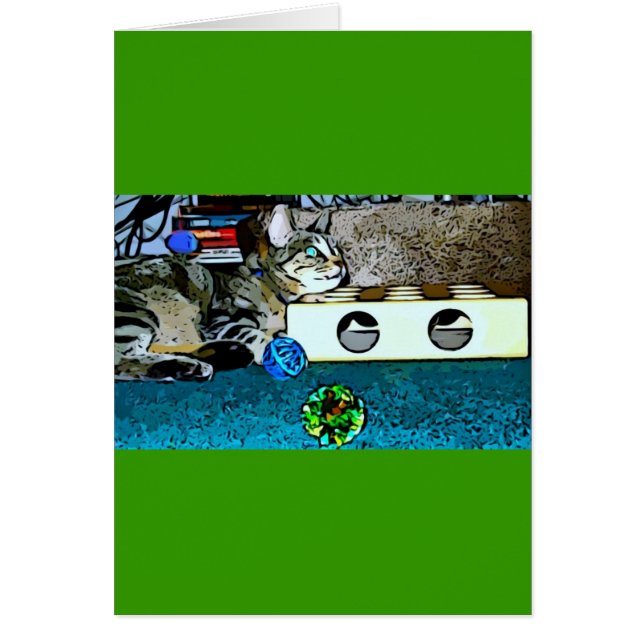 Cartoon Indigo (Voorkant)