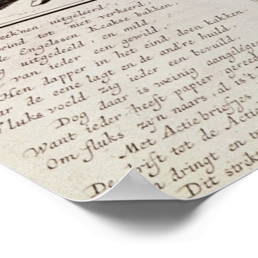 Cartoon klaagt over het rampzalige experiment poster (Hoek)