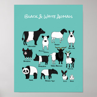 Cartoon mignon noir et blanc affiche Animaux