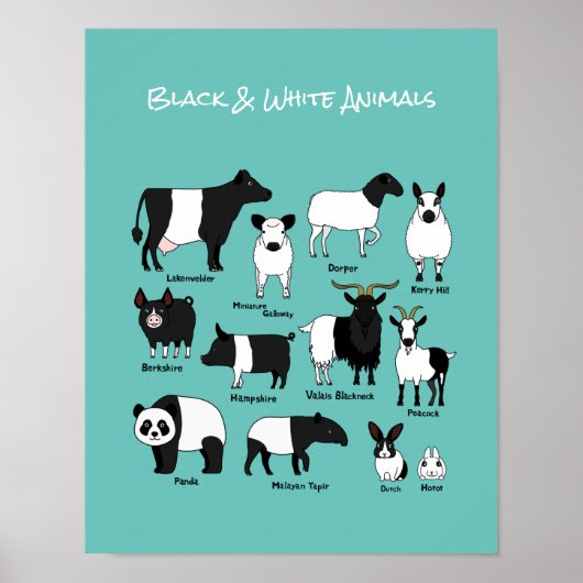 Cartoon mignon noir et blanc affiche Animaux (Devant)