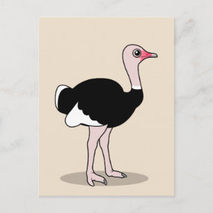 Cartoon Ostrich Briefkaart