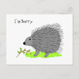 Cartoon Porcupine - Sorry Briefkaart